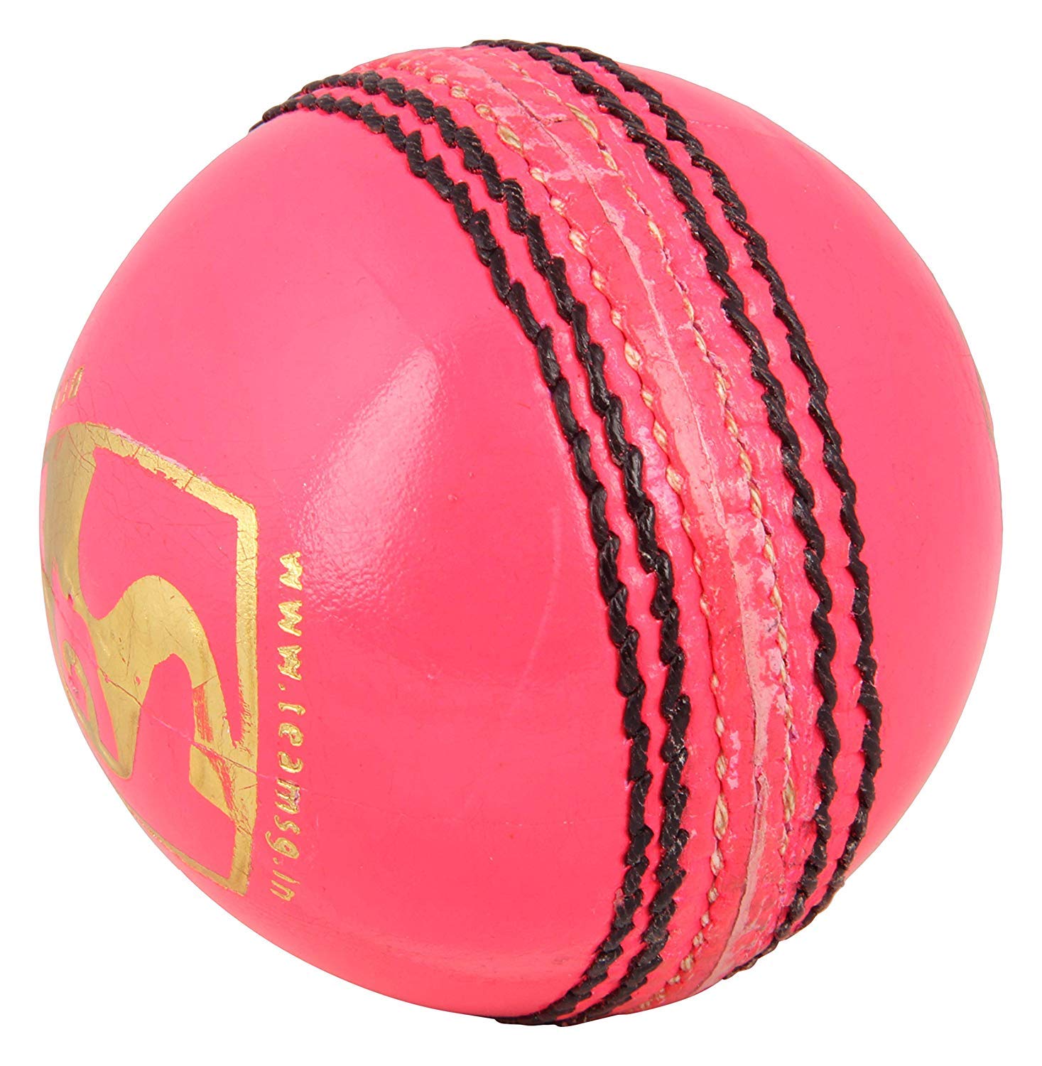 SG Cricket Leather Ball